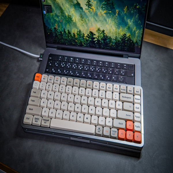 Lofree Flow Mechanical Keyboard - The First and Only with Kailh Full POM Switches