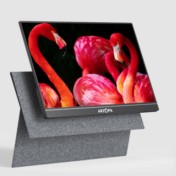 Arzopa B8 15.6 Inch Full HD Portable Monitor for Laptop [FREE CASE + CONNECTION CABLE]