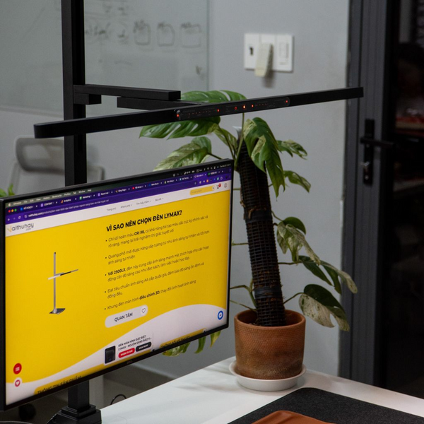 Special LYMAX Screen Light – The Perfect Eye-Protection Lighting Source