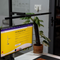 Special LYMAX Screen Light – The Perfect Eye-Protection Lighting Source
