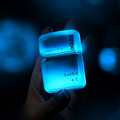 Zippo Luminous Quicksand Windproof Lighter – Brass Shell, Glow-in-the-Dark Design, Collectible Gift